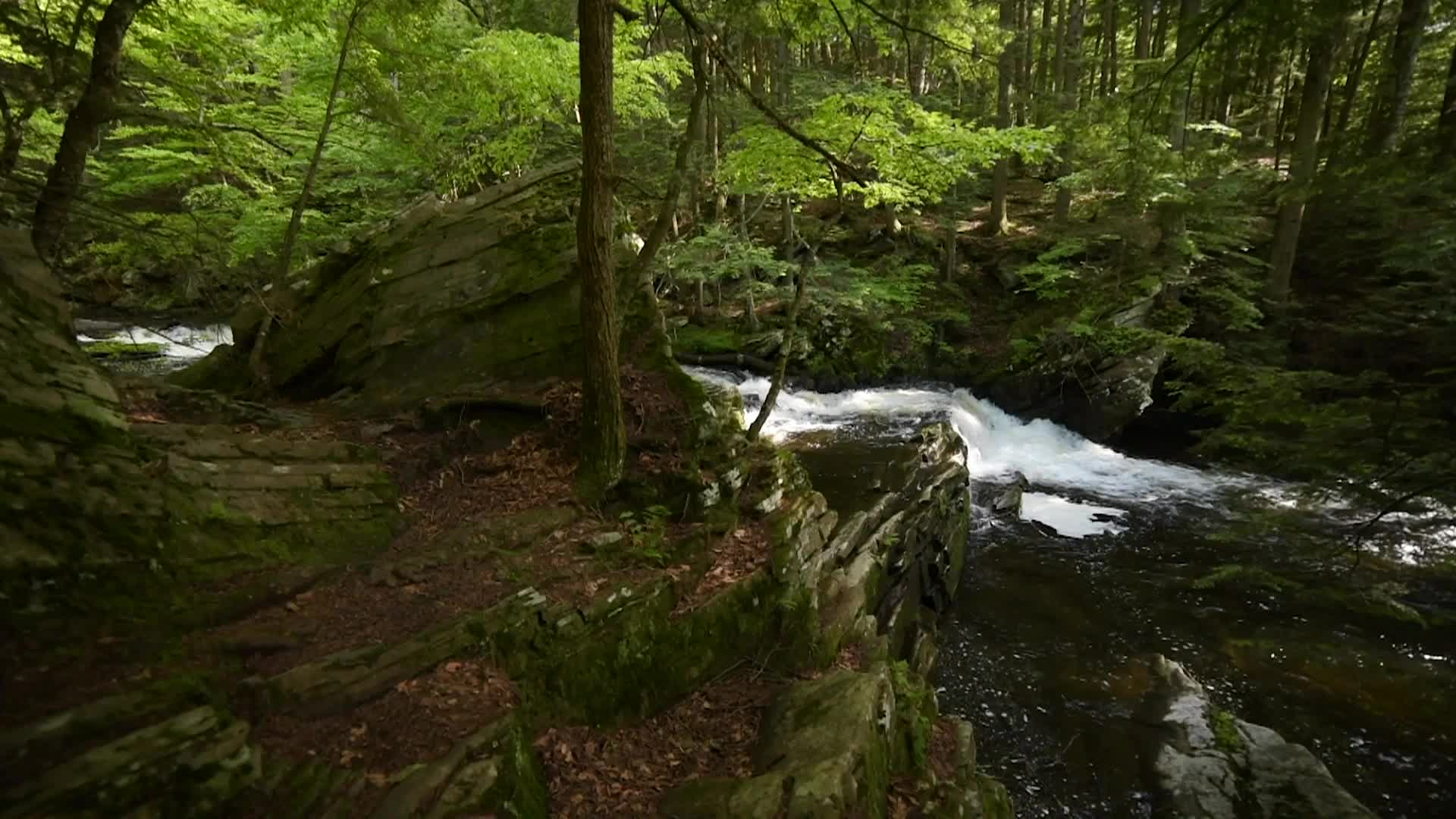 Thumbnail image for Cablecast_TestFootageCompilation